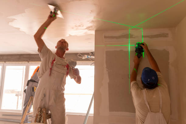 Best Ceiling Drywall Installation  in Diamond, IL